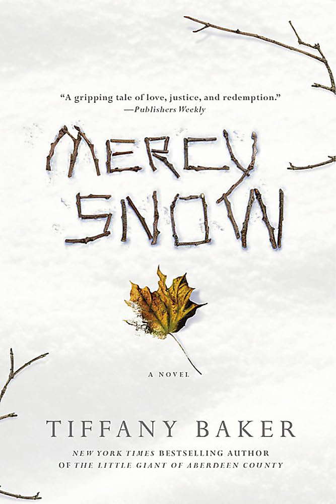 Mercy Snow: A Novel poster