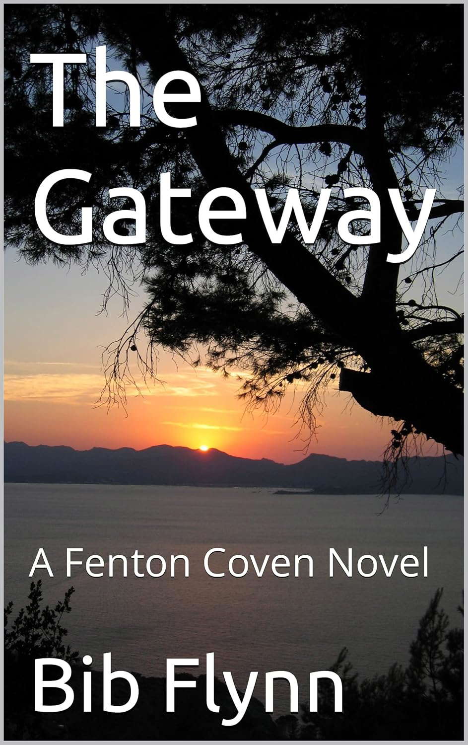 The Gateway: A Fenton Coven Novel (The Fenton Coven Book 1) poster