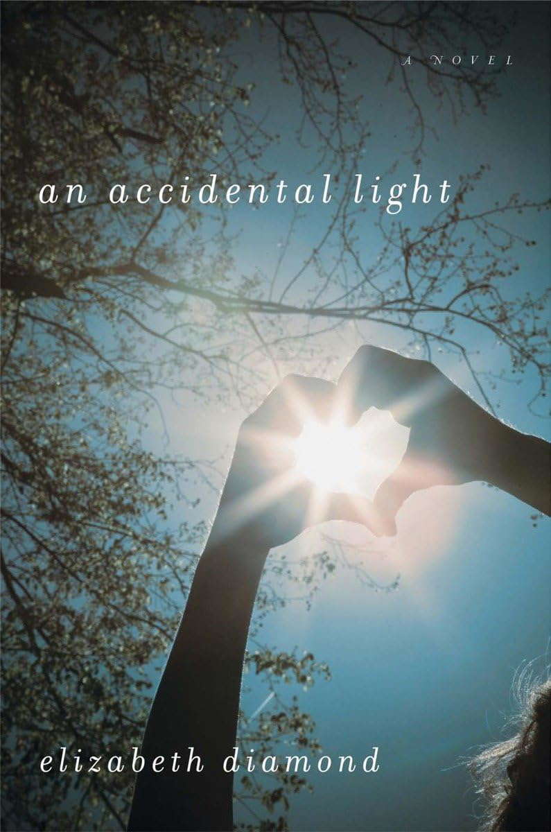 An Accidental Light: A Novel poster