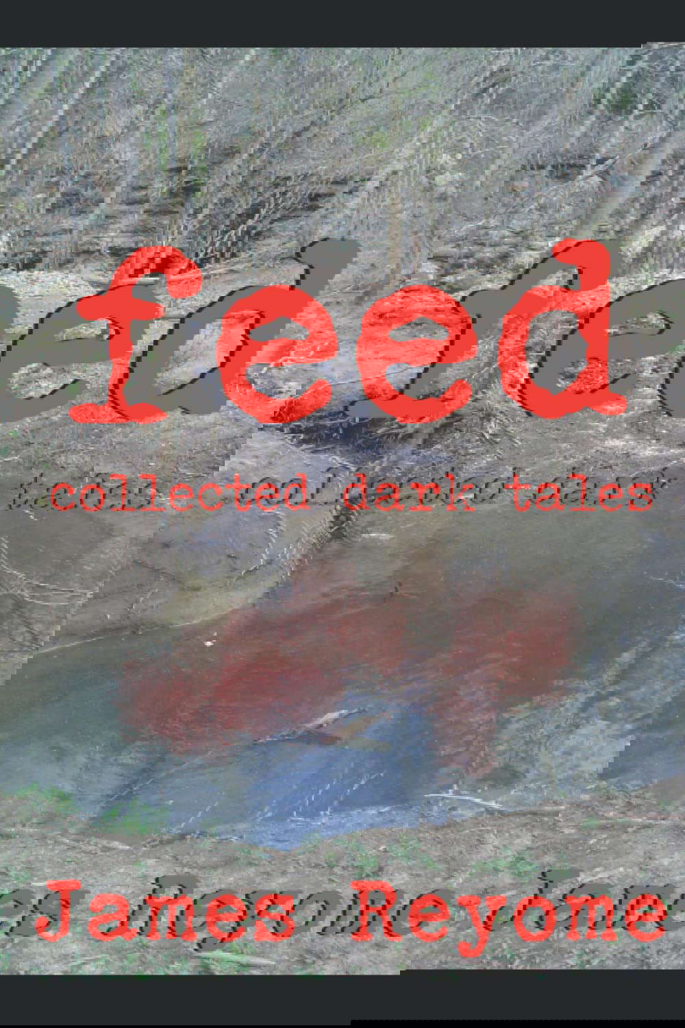 Feed: Collected Dark Tales poster