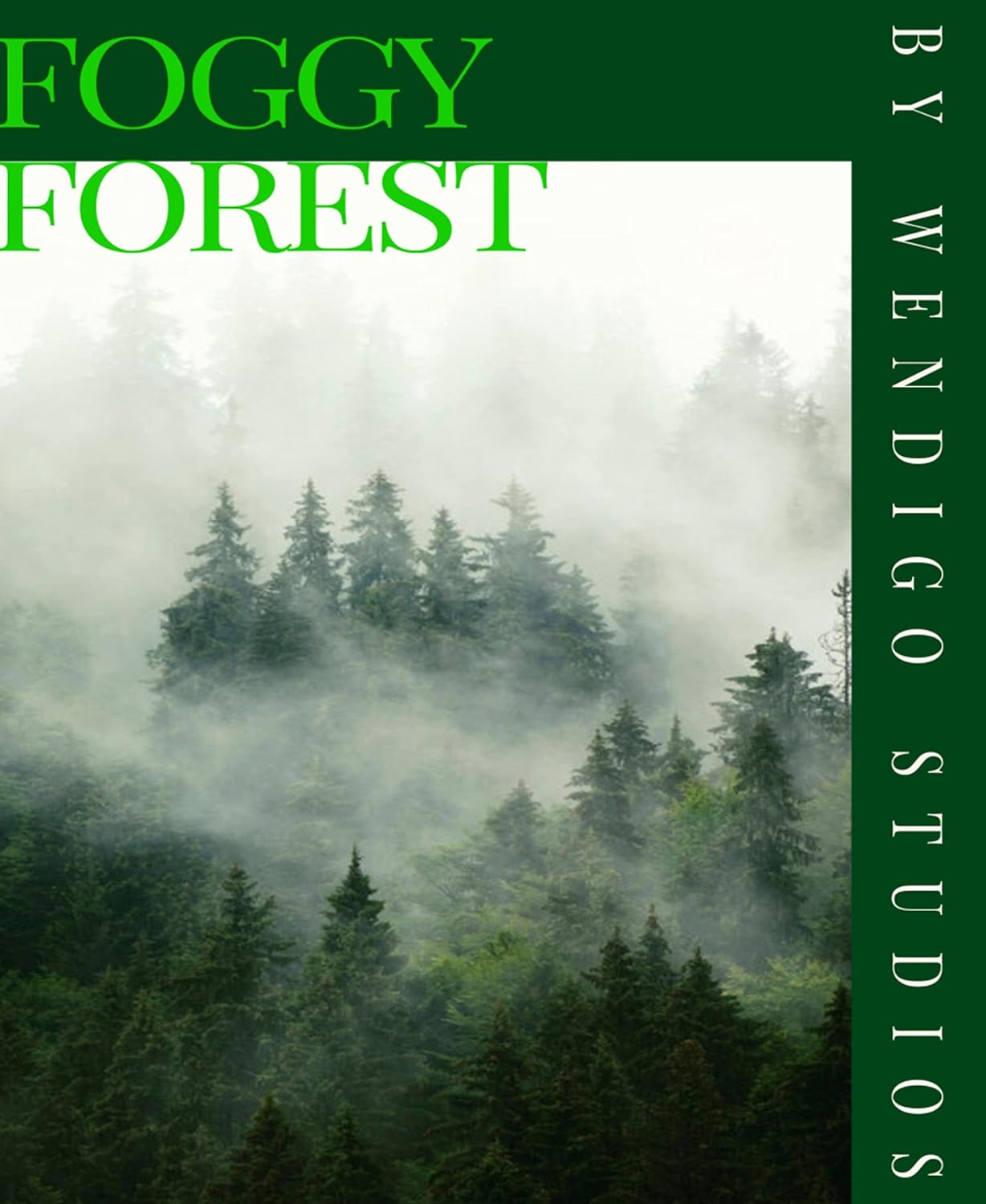 Foggy Forest poster