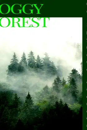 Foggy Forest poster