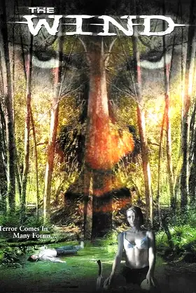 The Wind poster
