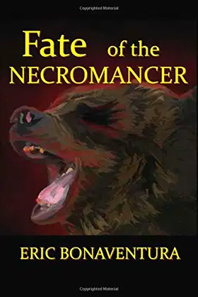 Fate of the Necromancer poster