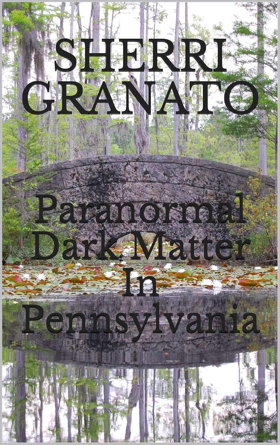 Paranormal Dark Matter In Pennsylvania (Haunted America) poster