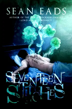 Seventeen Stitches poster
