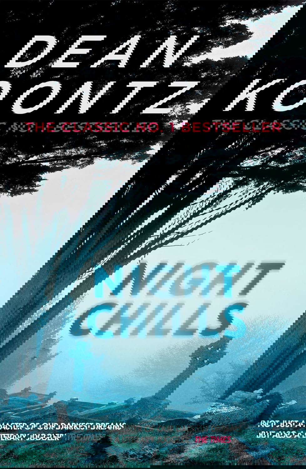 Night Chills poster