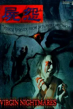 Virgin Nightmares poster