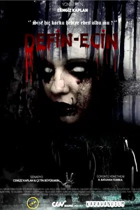 Defin-Ecin Zulman poster
