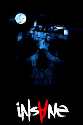Insane poster