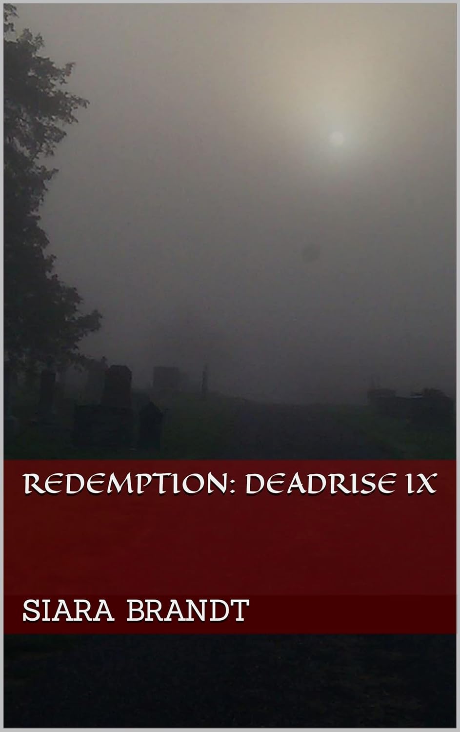 Redemption: Deadrise IX poster