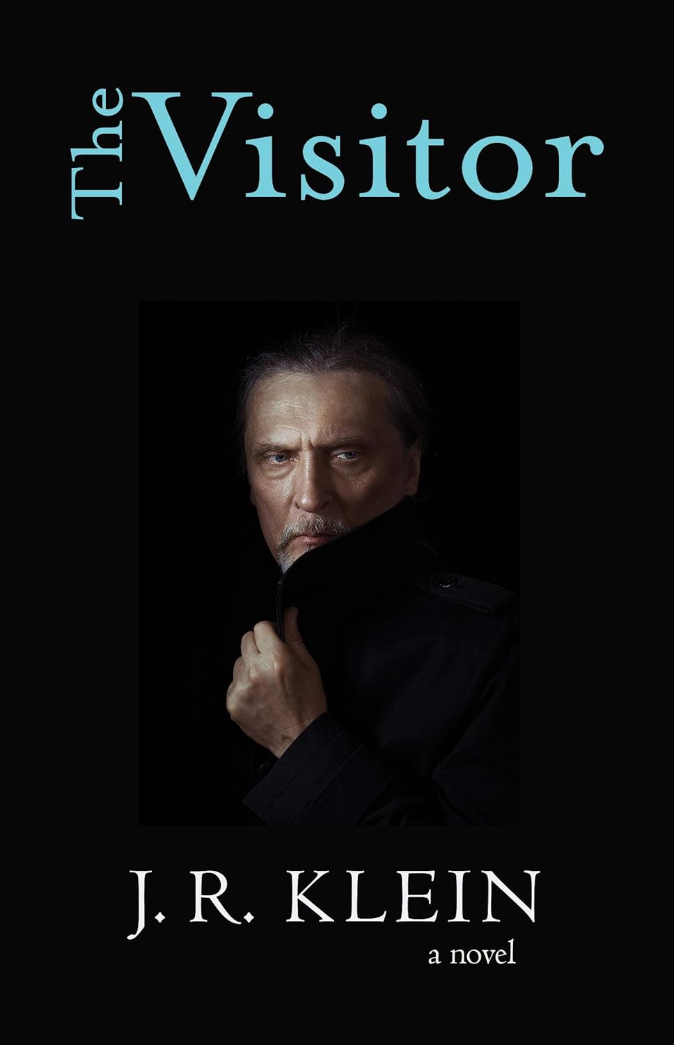 The Visitor poster