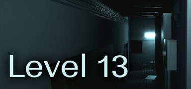Level 13 capsule
