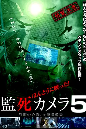 Paranormal Surveillance Camera 5 poster