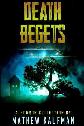 Death Begets poster