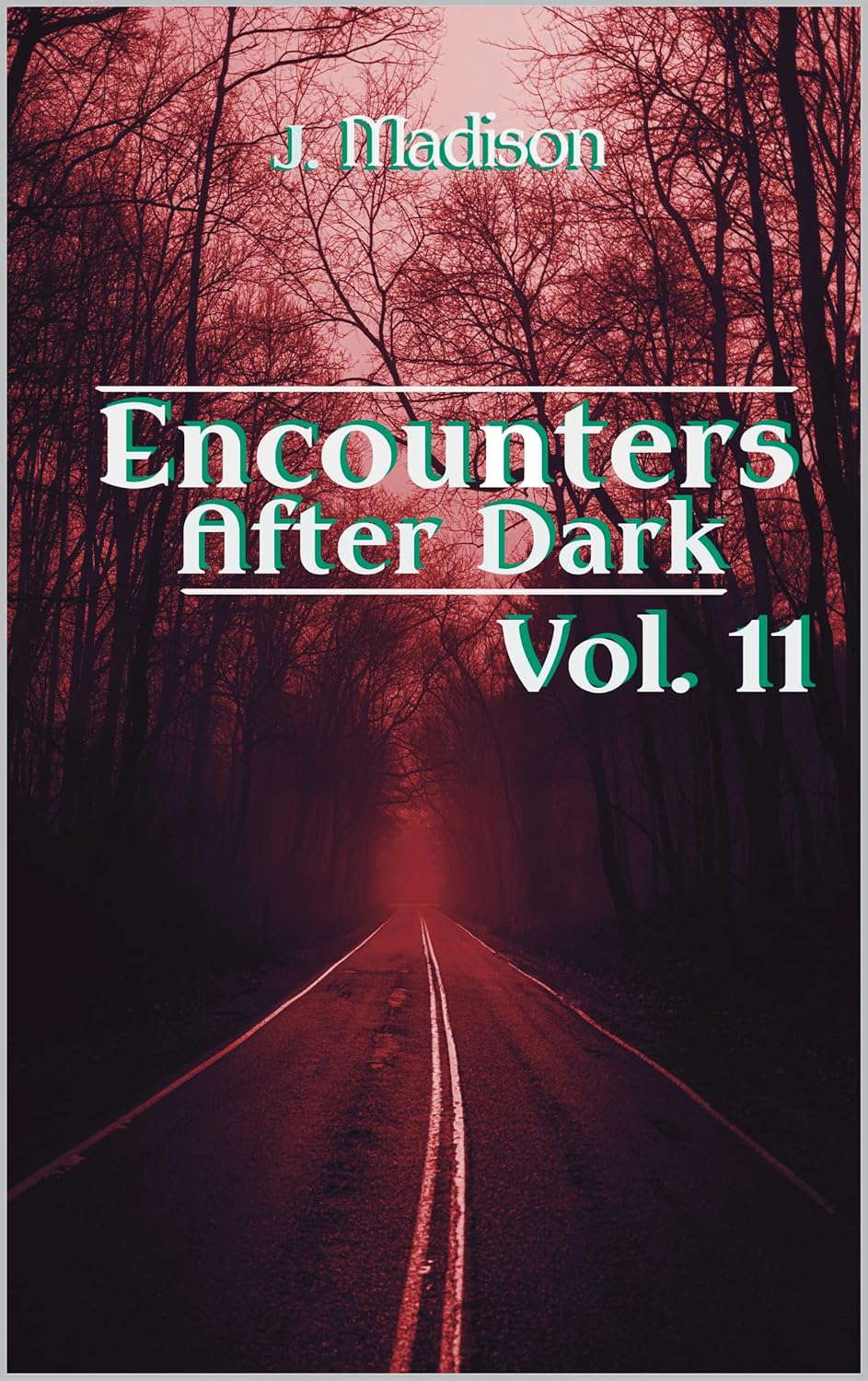 Encounters After Dark: Volume 11 poster