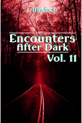 Encounters After Dark: Volume 11 poster