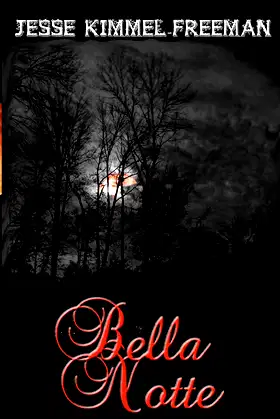 Bella Notte poster