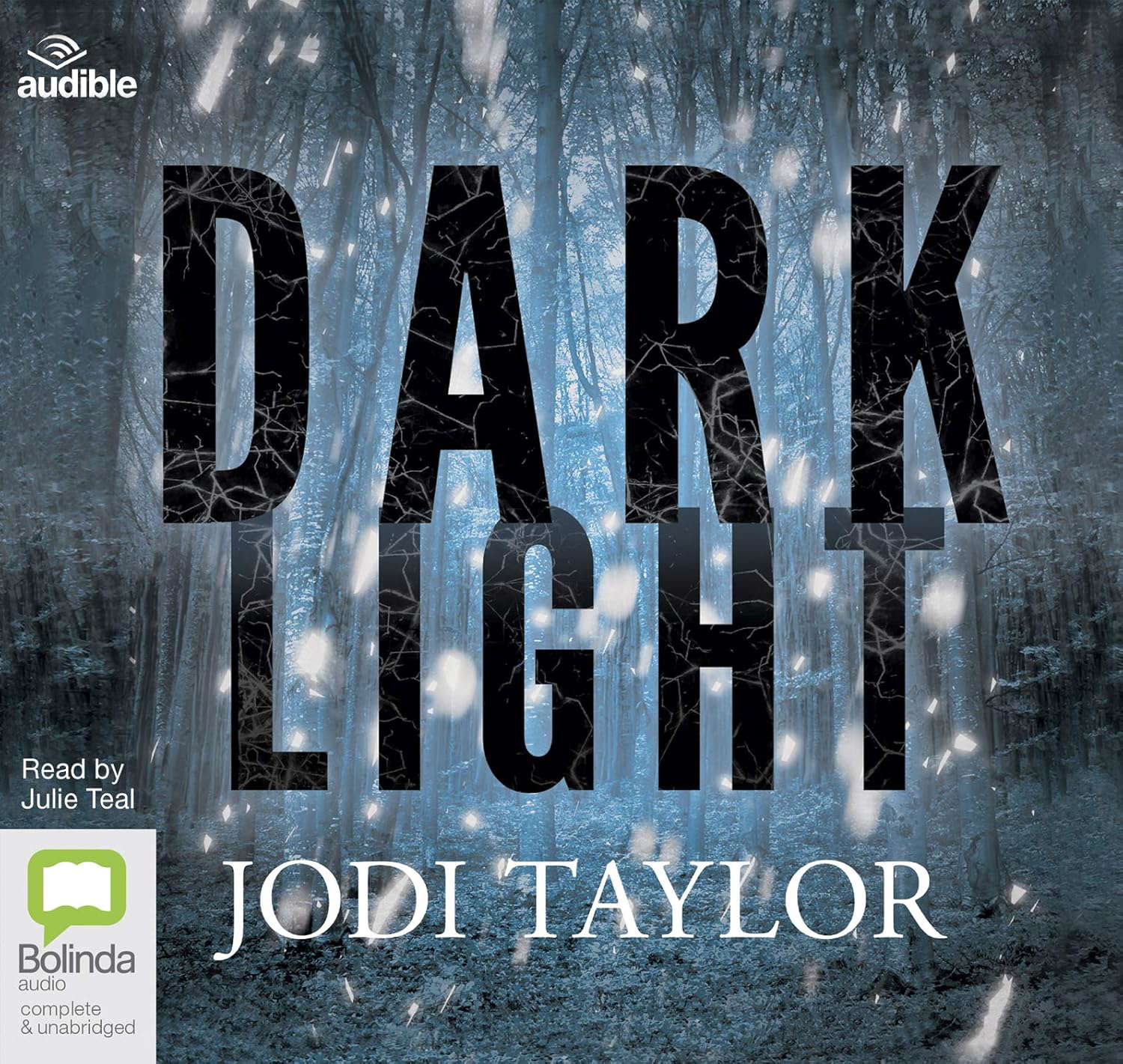 Dark Light: 2 (Elizabeth Cage) poster