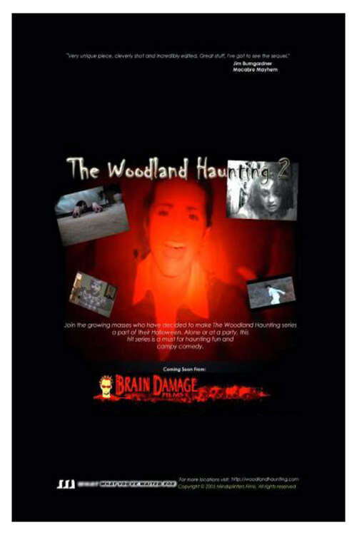 The Woodland Haunting 2 poster