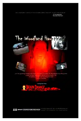 The Woodland Haunting 2 poster