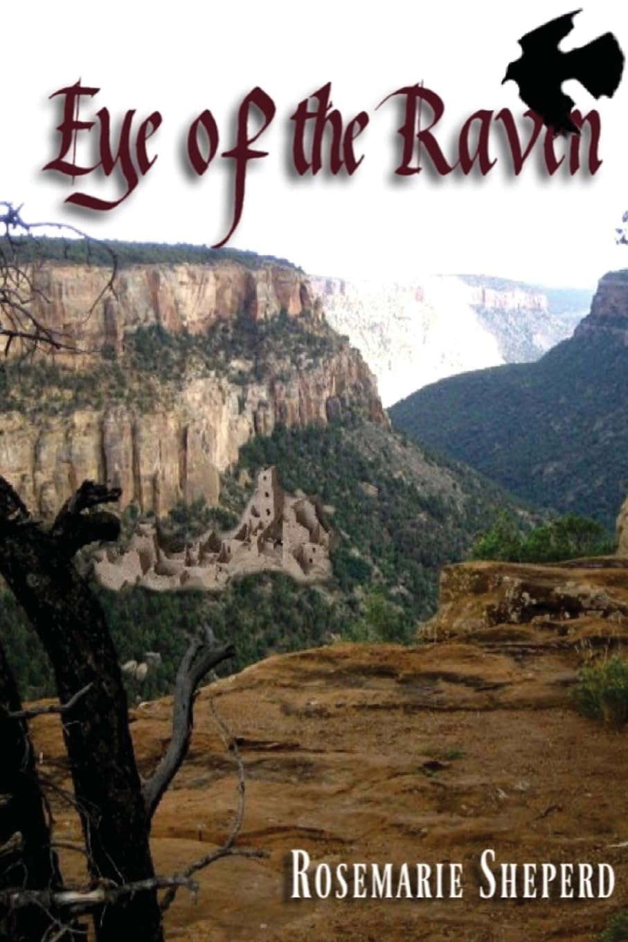 Eye of the Raven poster