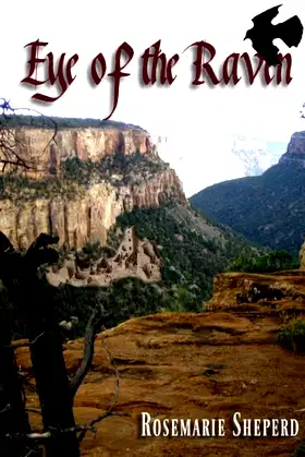 Eye of the Raven poster