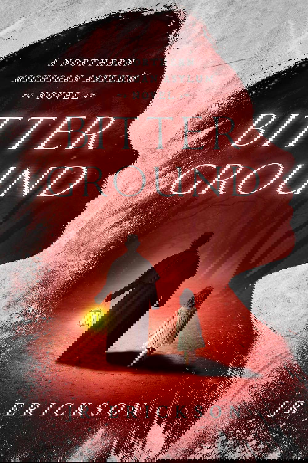Bitter Ground : A Northern Michigan Asylum Novel poster