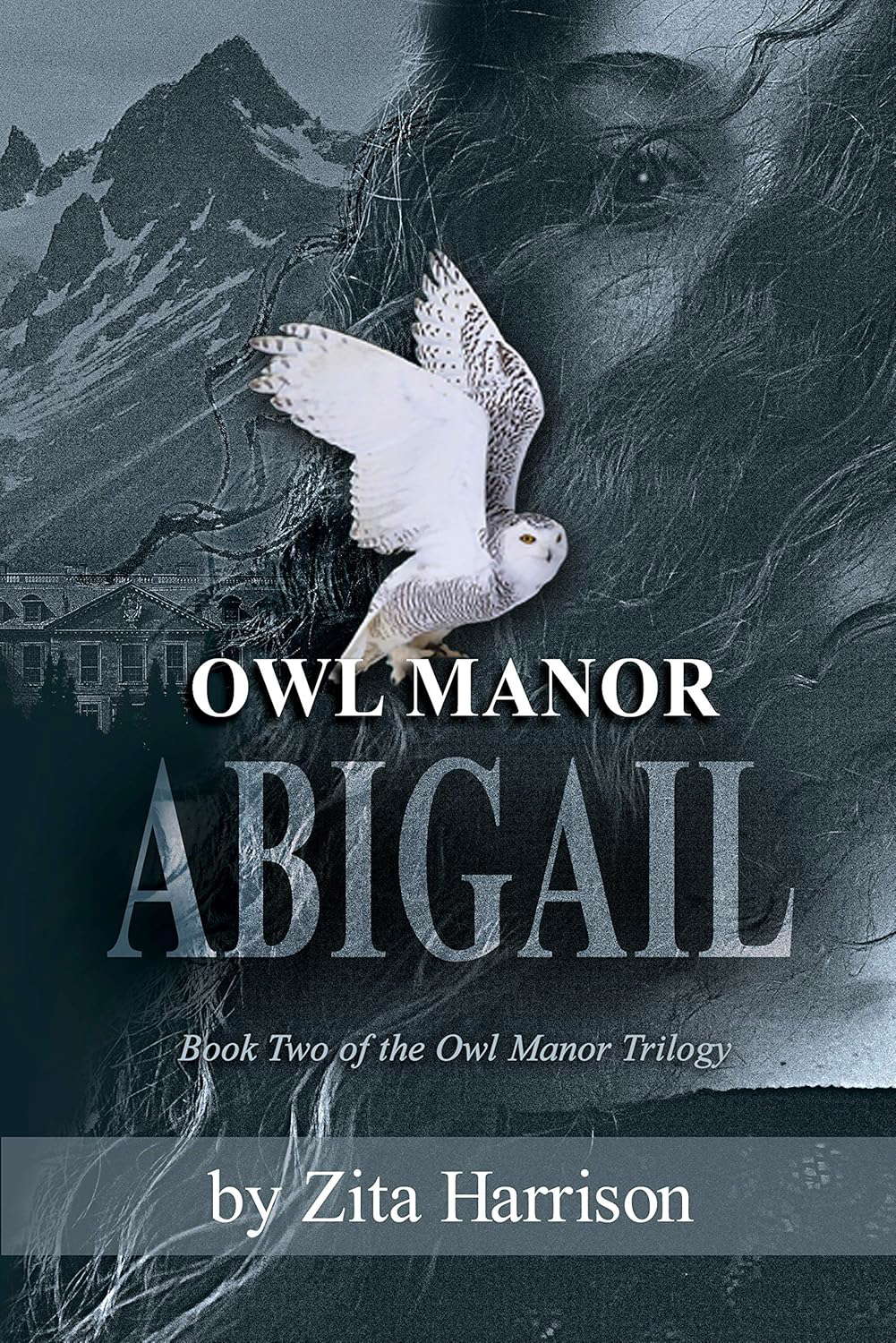 Owl Manor - Abigail: Book 2 of the Owl Manor Trilogy poster