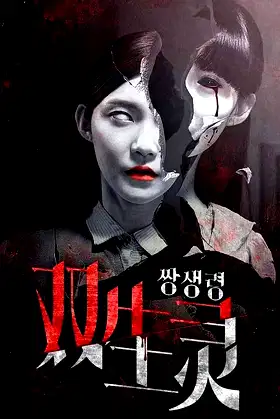 Twin Spirit poster