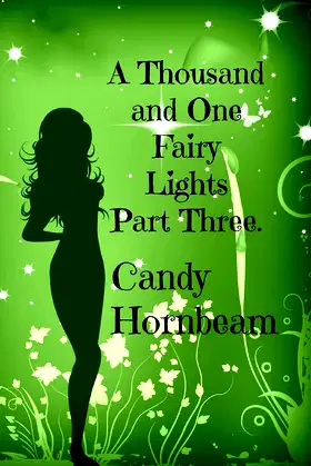 A Thousand and One Fairy Lights: Part Three poster