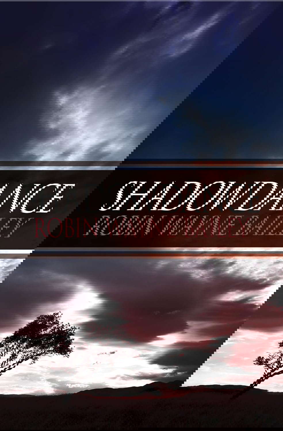 Shadowdance poster