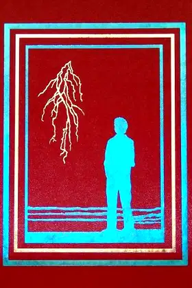 Duma Key Slipcase poster