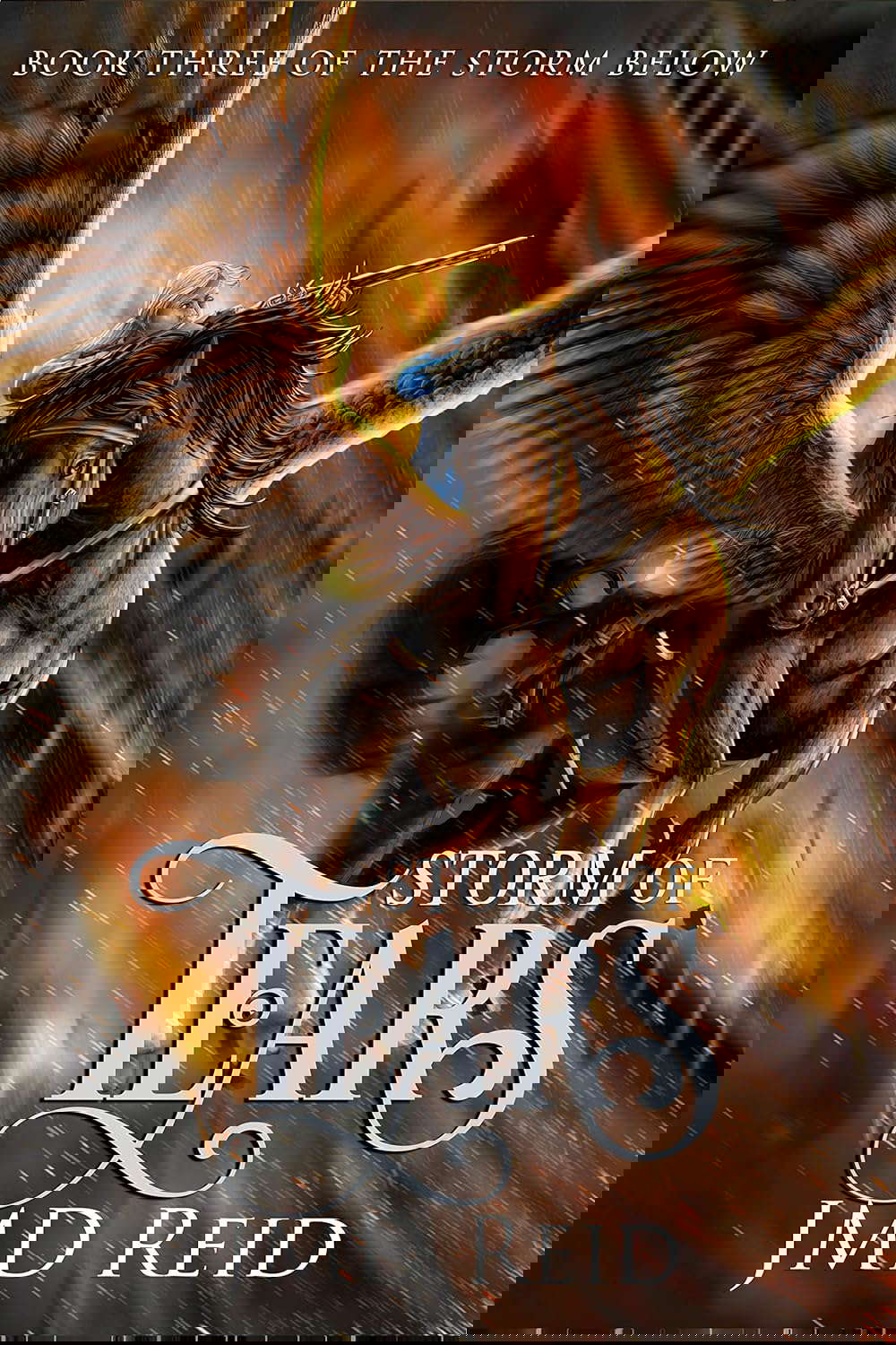 Storm of Tears (The Storm Below Book 3) poster