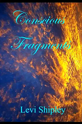 Conscious Fragments poster