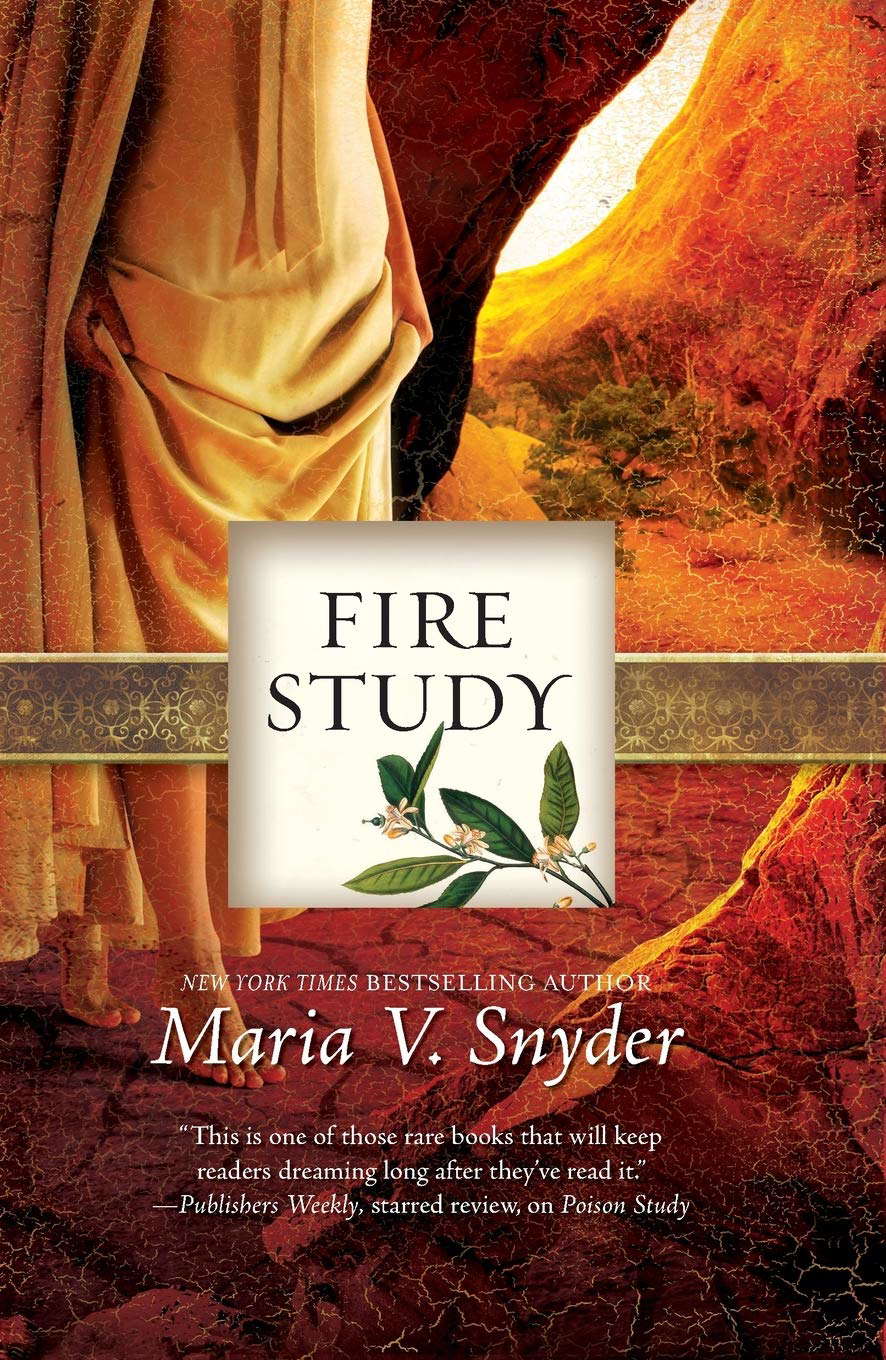 Fire Study (Study, Book 3) poster