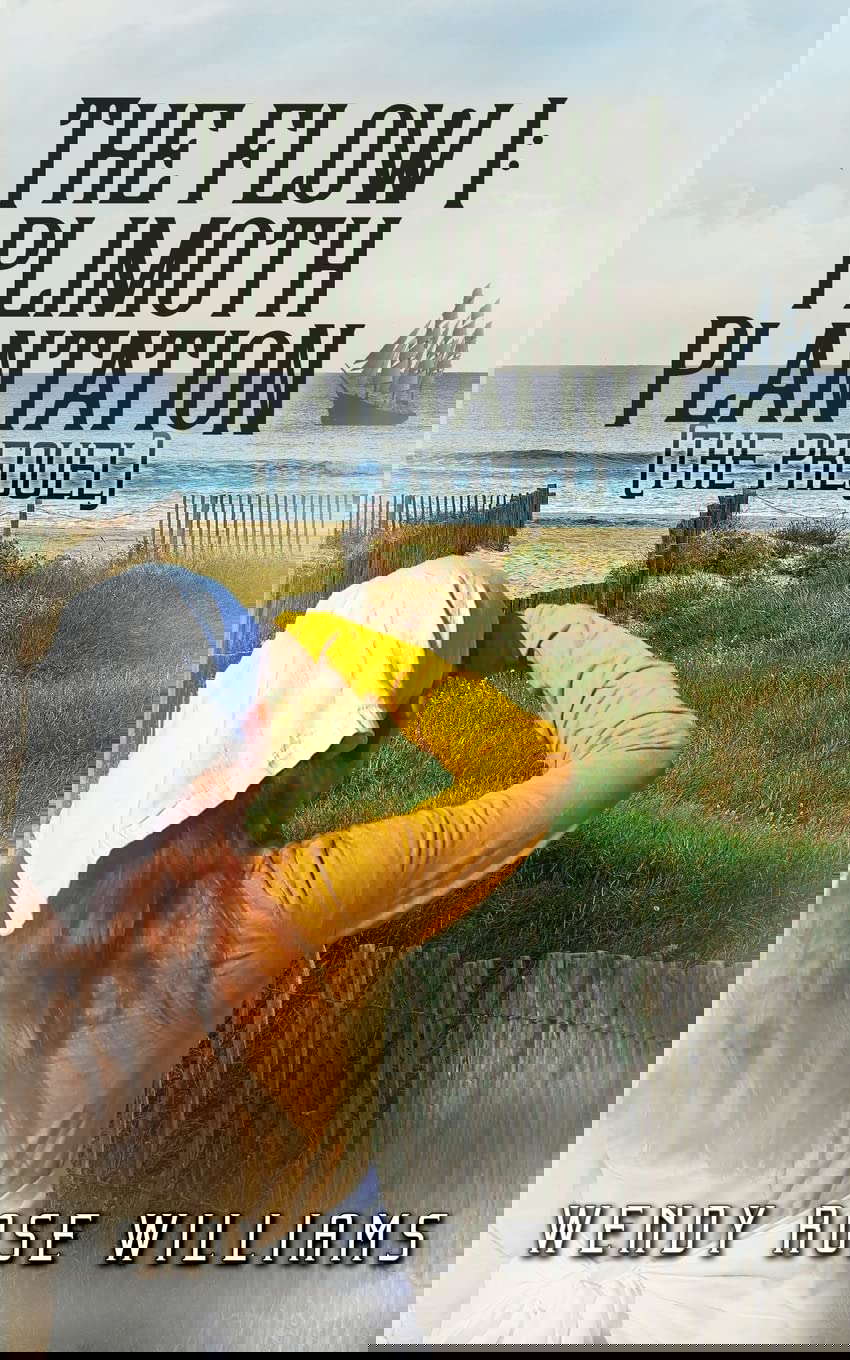 The Flow I: Plimoth Plantation (the prequel) poster