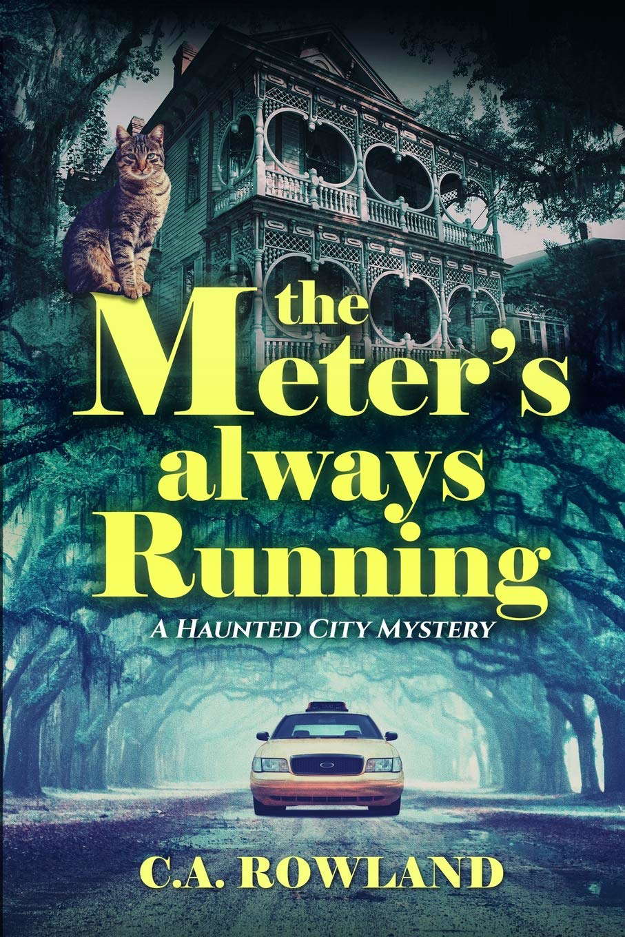 The Meter's Always Running: A Haunted City Mystery poster