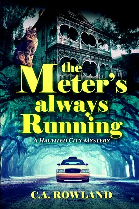 The Meter's Always Running: A Haunted City Mystery poster