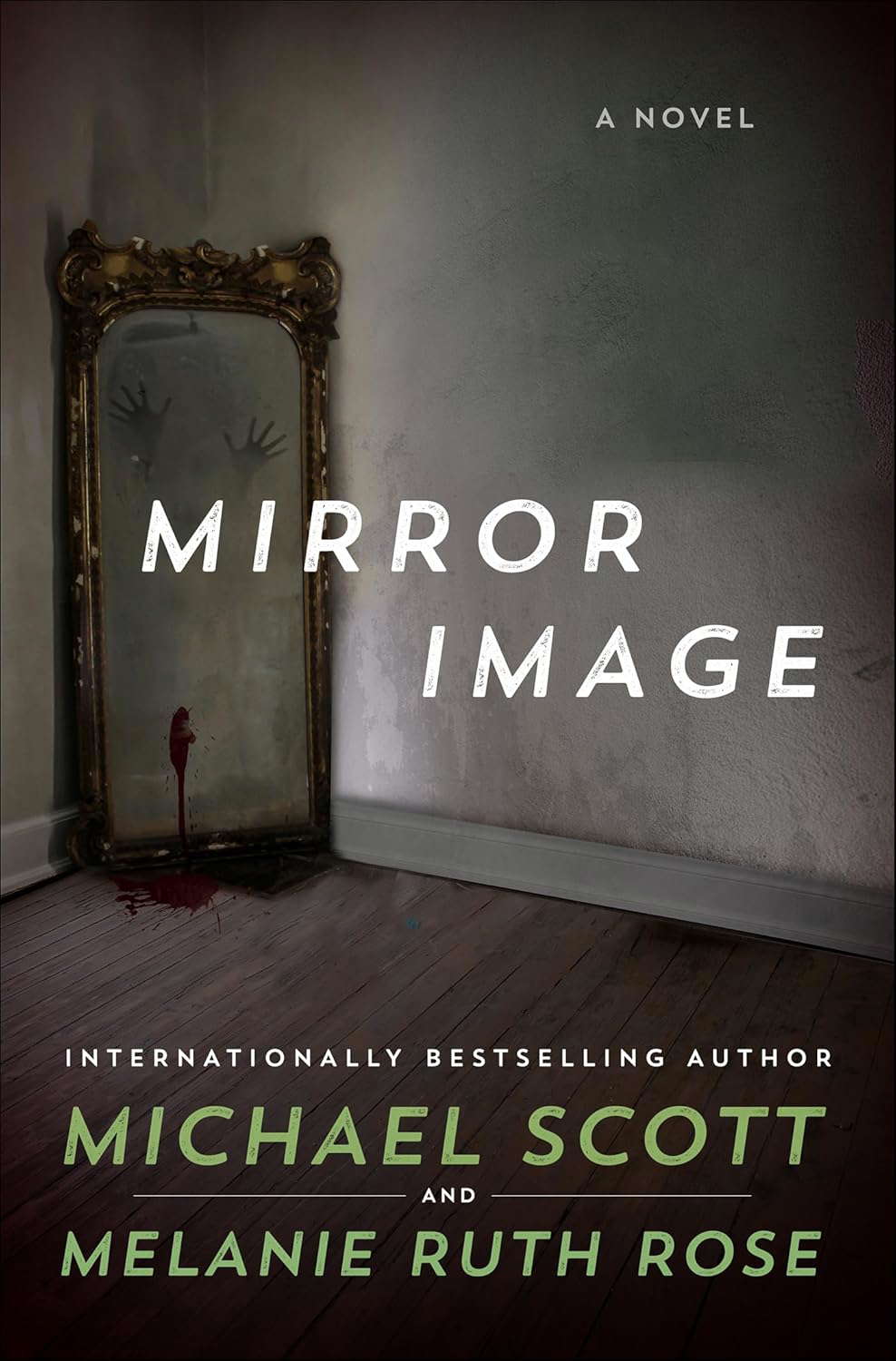 Mirror Image: A Novel poster