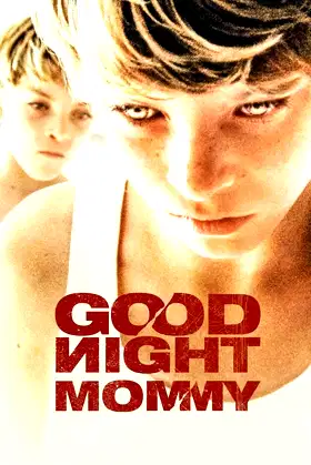 Goodnight Mommy poster