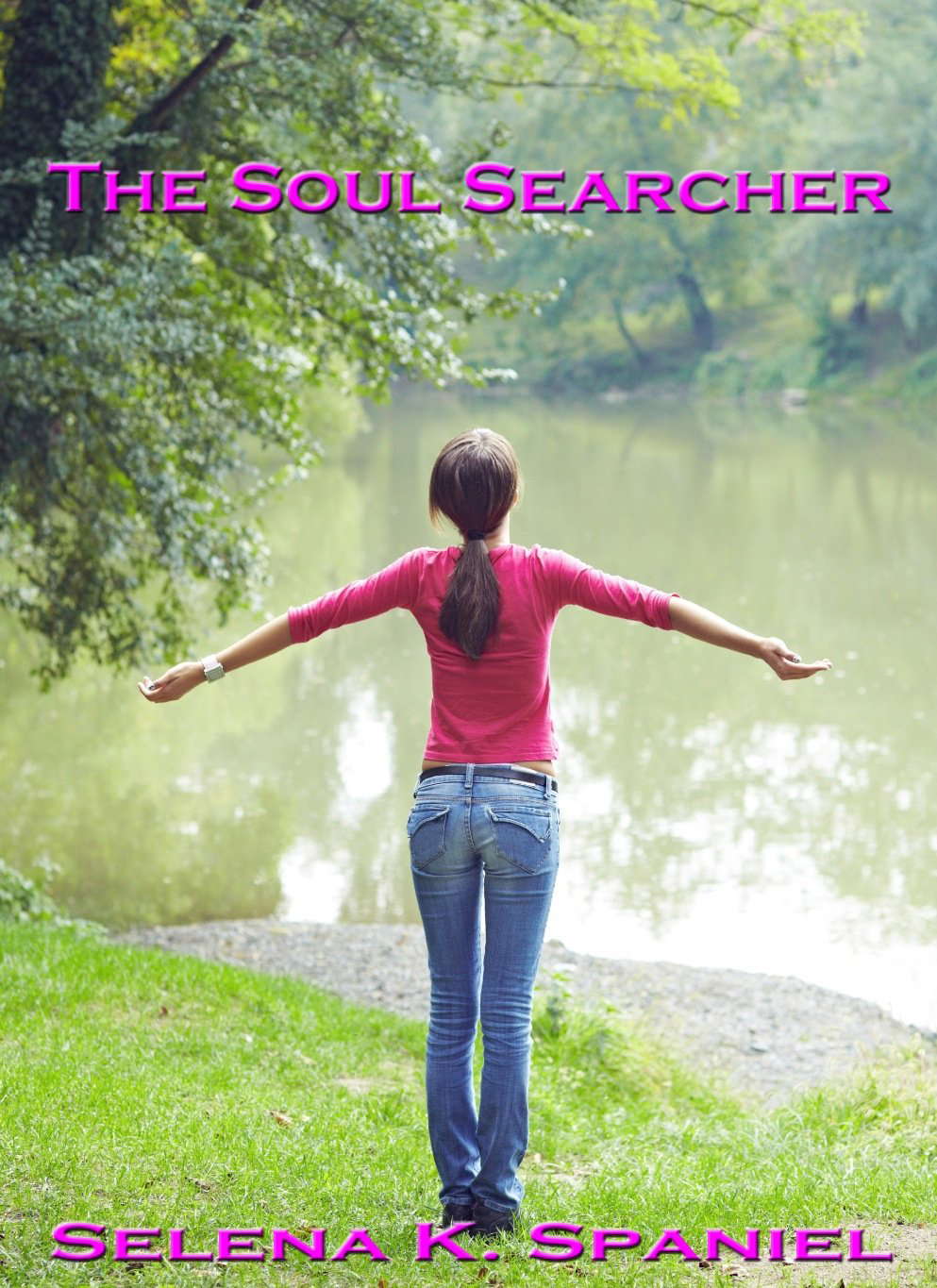 The Soul Searcher poster