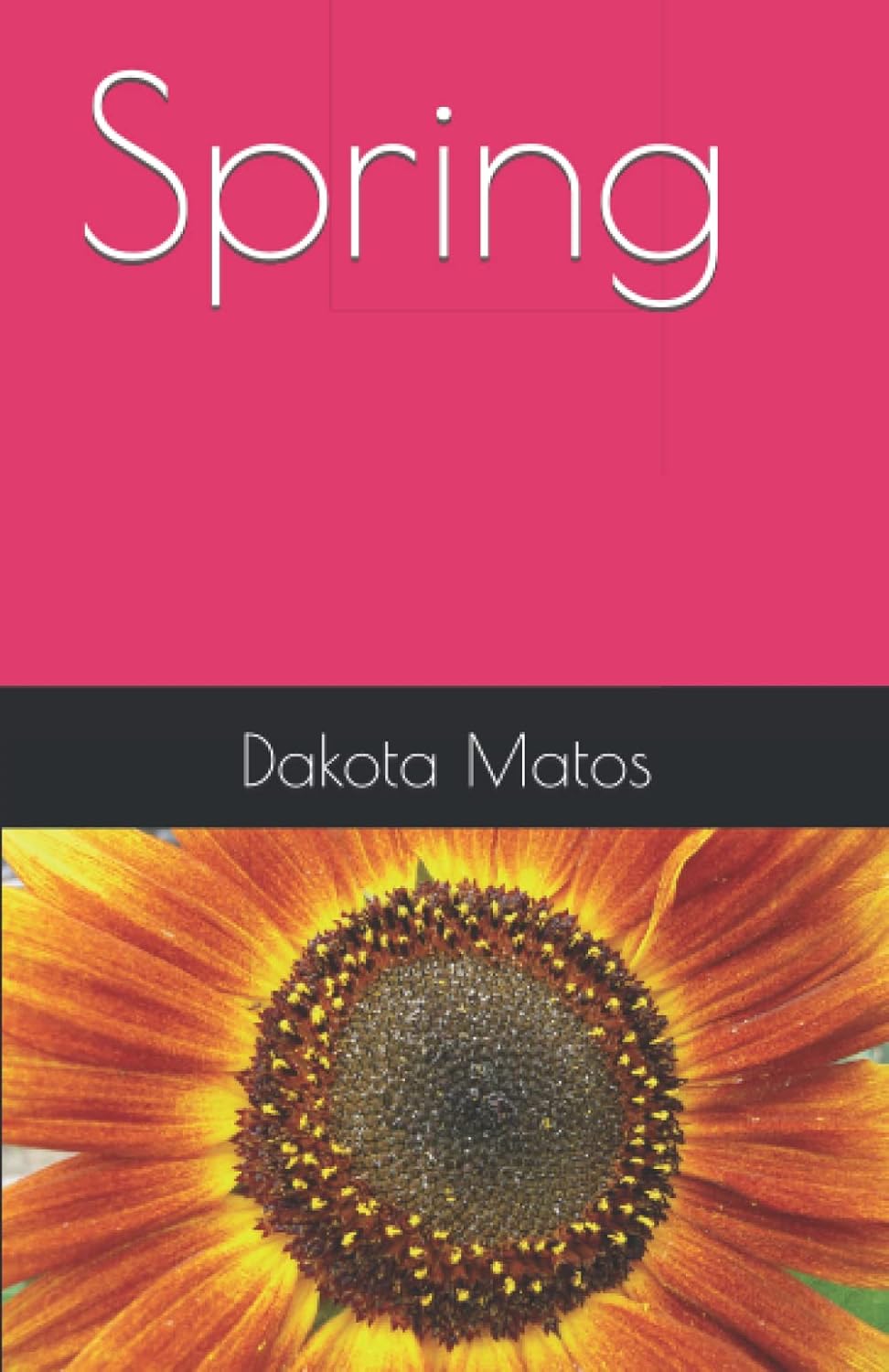 Spring poster