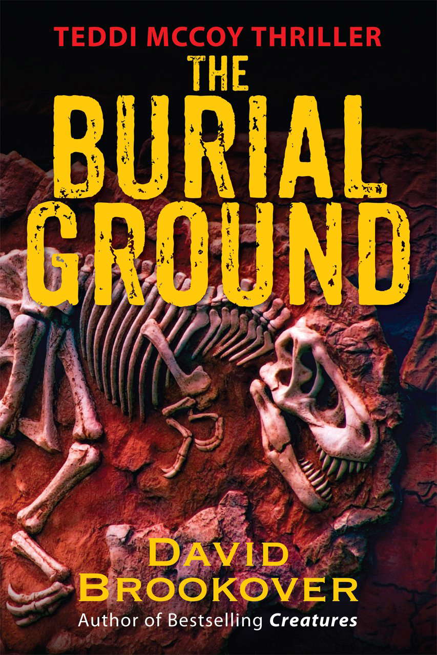 The Burial Ground: Teddi McCoy Thriller poster
