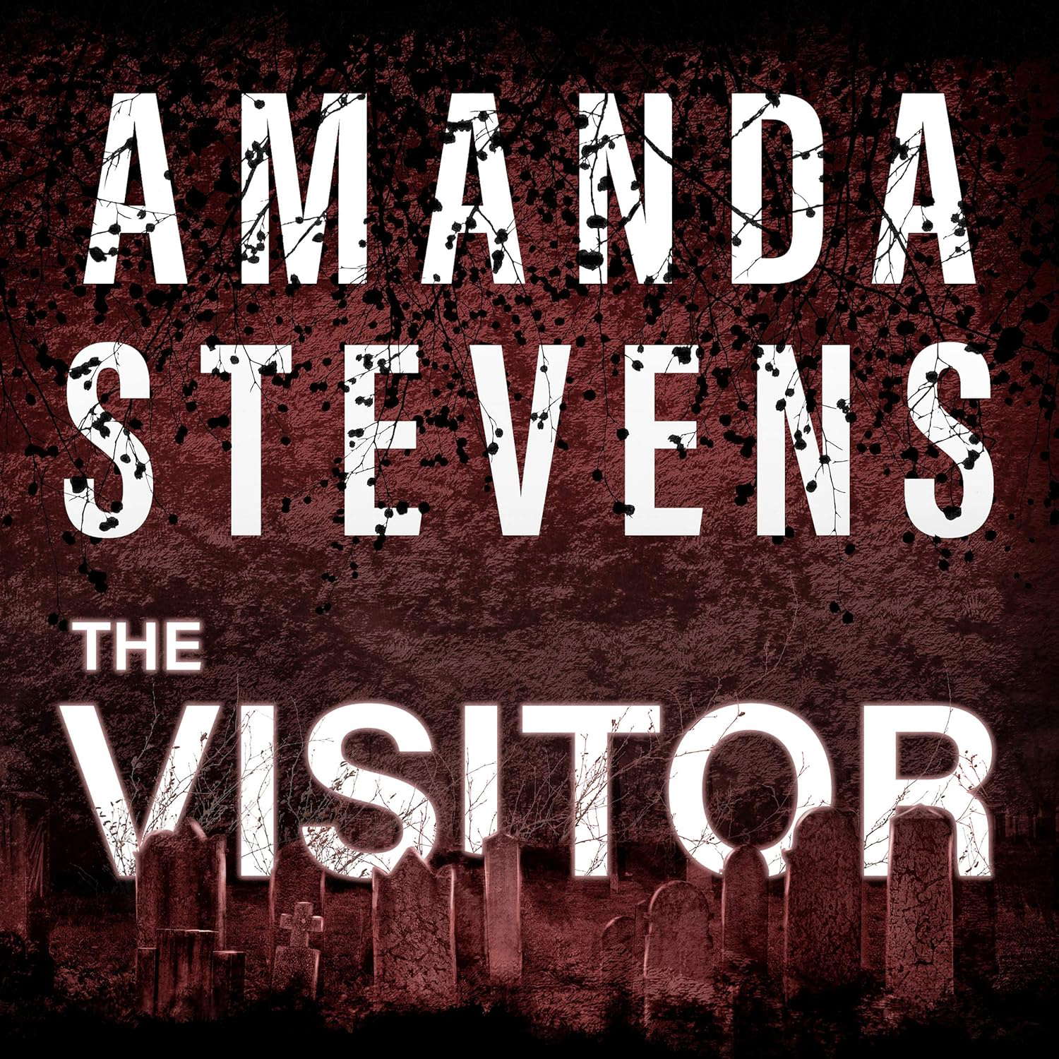 The Visitor (The Graveyard Queen) poster