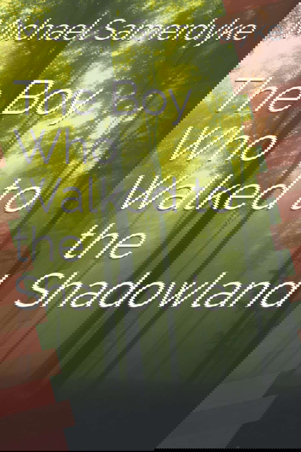The Boy Who Walked to the Shadowland poster