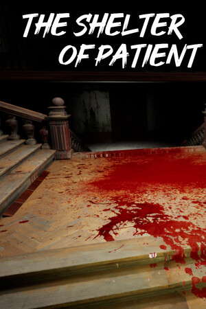 The shelter of patient poster
