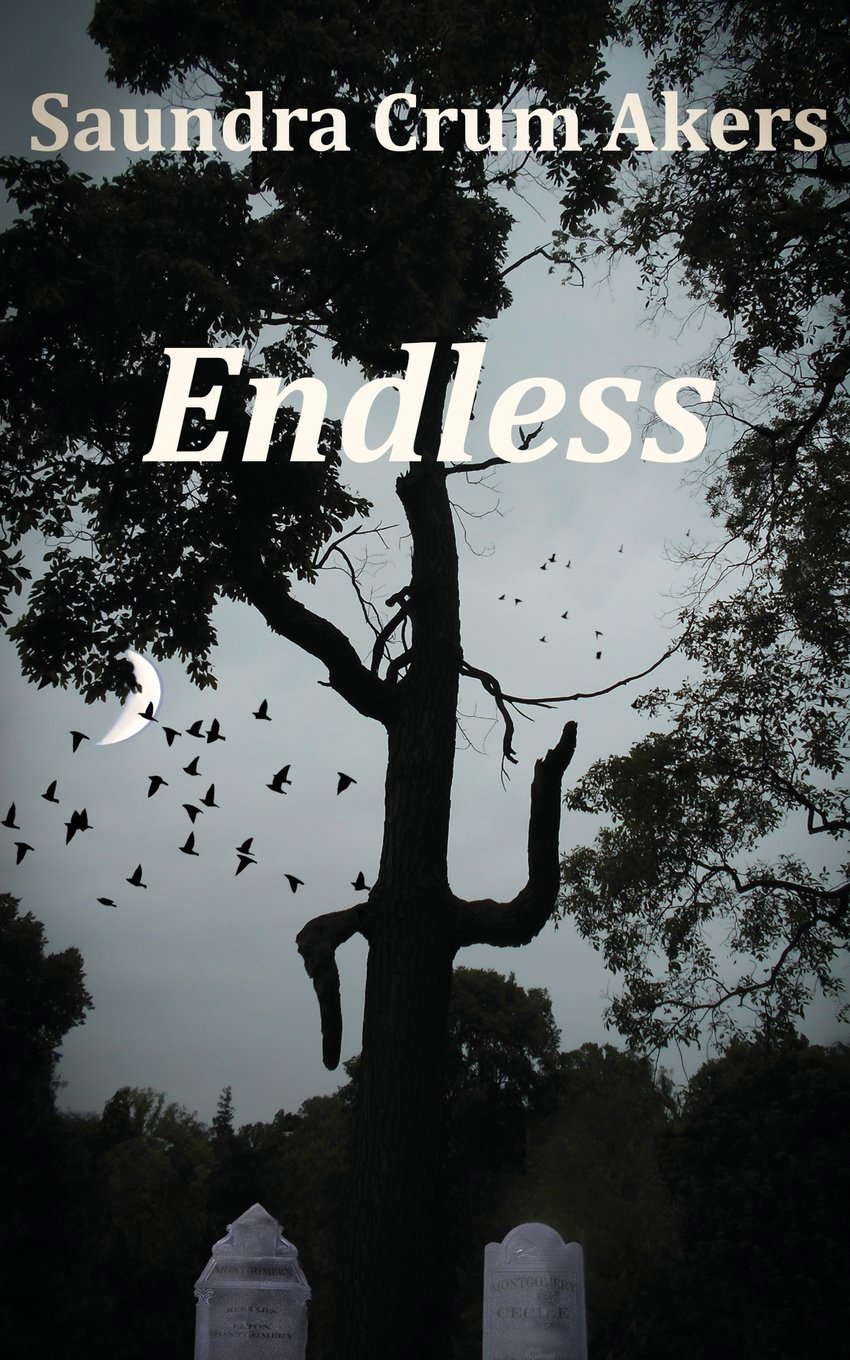 Endless poster
