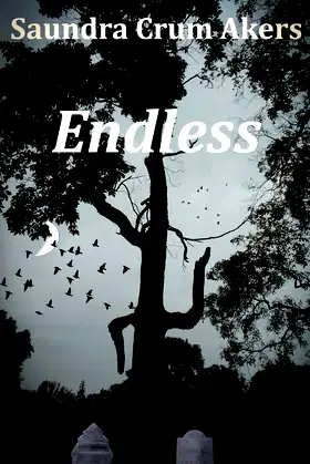 Endless poster