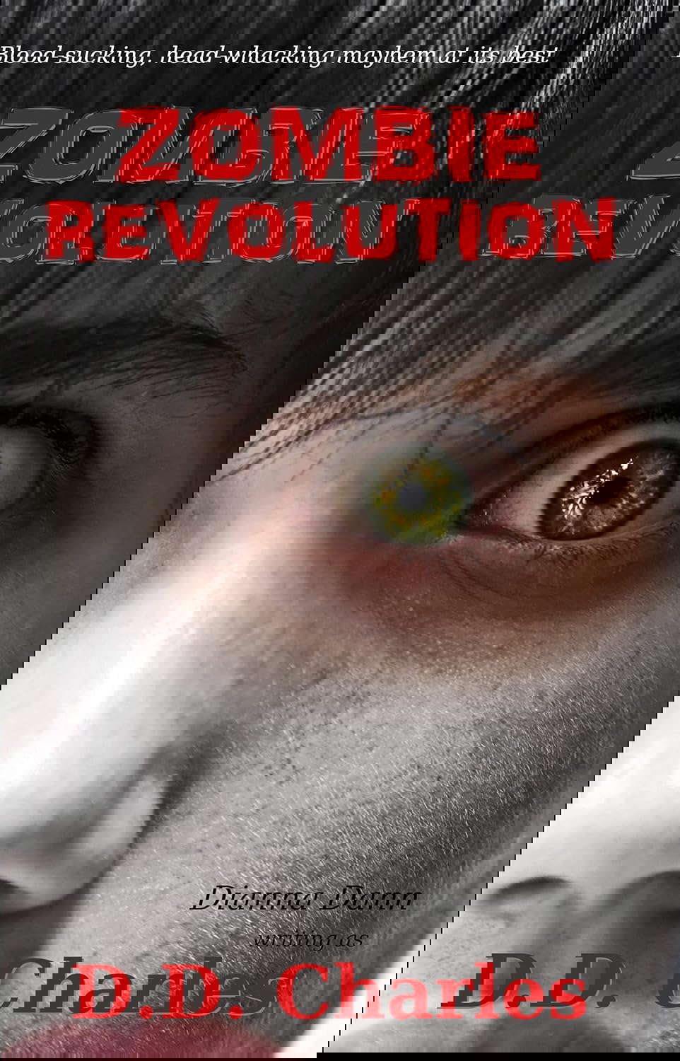 Zombie Revolution poster